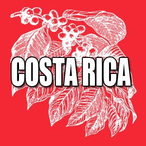 View Costa Rica Coffees and Info