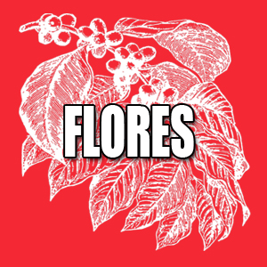 View Flores Coffees and Info