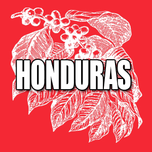 View Honduras Coffees and Info