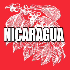 View Nicaragua Coffees and Info