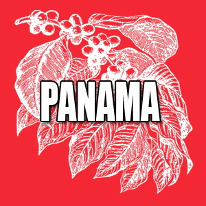 View Panama Coffees and Info