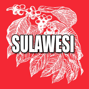 View Sulawesi Coffees and Info