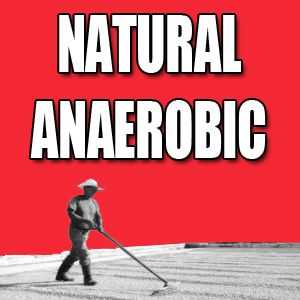 View Natural Anaerobic Coffees and Info