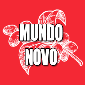 View Mundo Novo Coffees and Info
