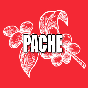 View Pache Coffees and Info