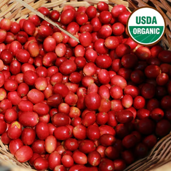 Honduras Organic Decaf