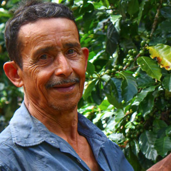 Honduras Santa Barbara - Andres Fernandez